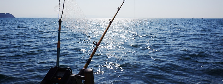 海と釣り竿の風景