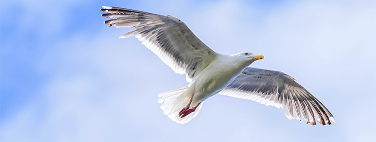 プライバシーポリシー